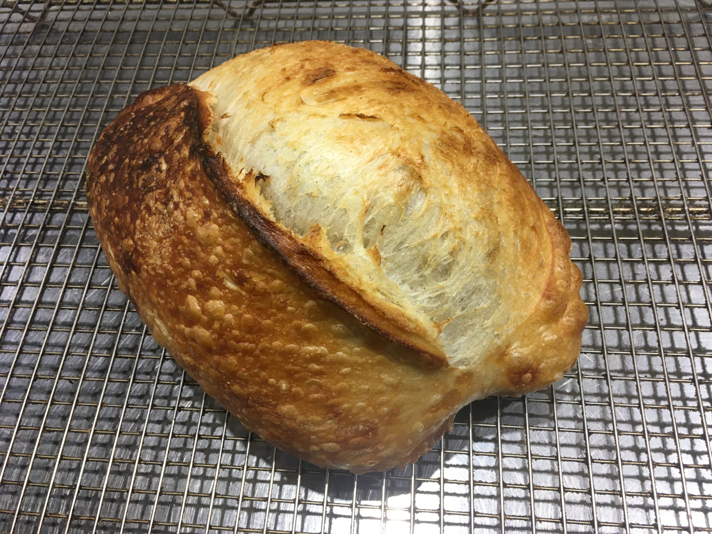 Wild Sourdough
